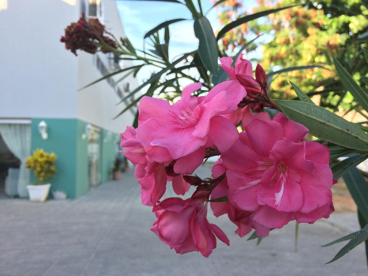 Scenarium Hotel Jaboatão dos Guararapes Extérieur photo